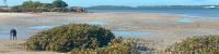 Tidal Currents For Sea Kayaking. Know how To Predict.