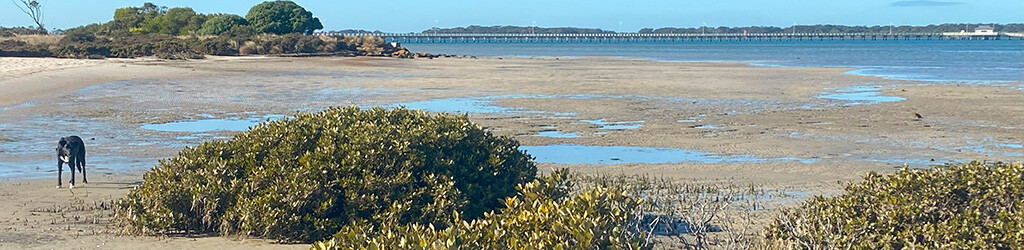 Low Tide prediction